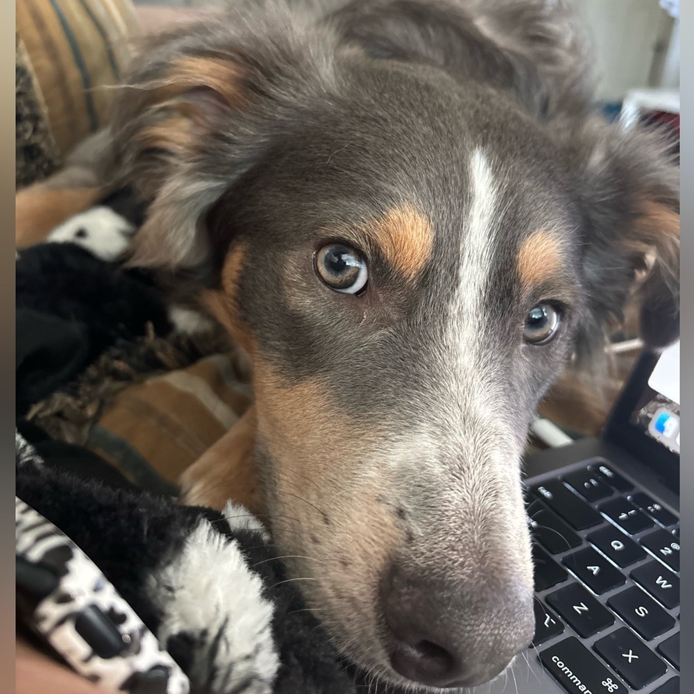 Meet your Posher, Danielle